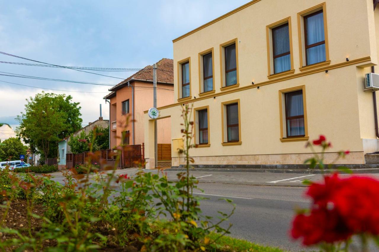 Casa Cu Nuc Hotel Alba Iulia Buitenkant foto